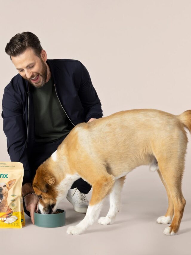 Talking dog parenting with Chris Evans