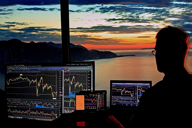 The Role of Forex Trading Platforms in Global Markets