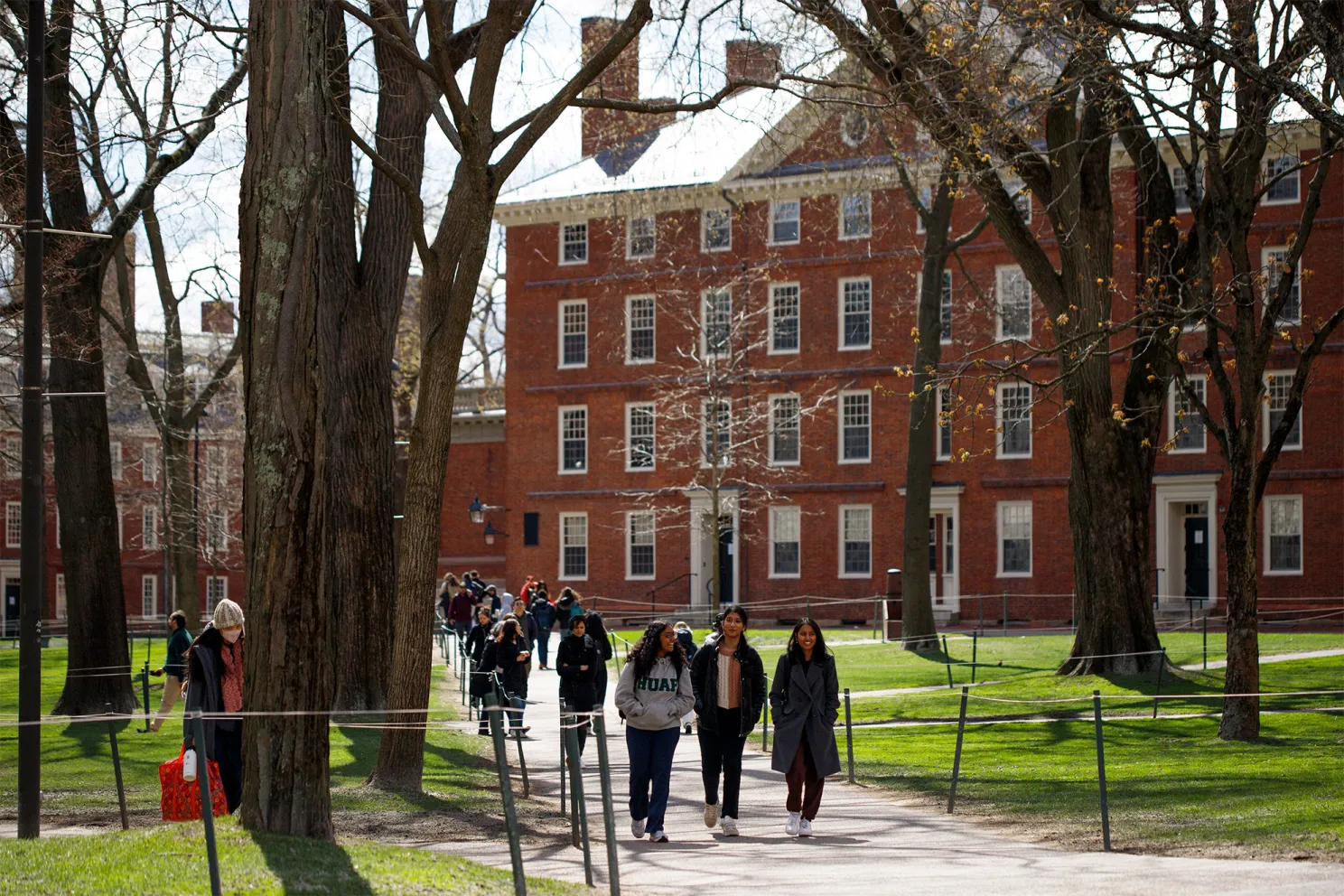 Trump Calls for 15% Cap on Foreign Students at Harvard